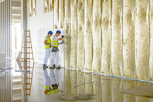 Best Residential Insulation in Blandon, PA